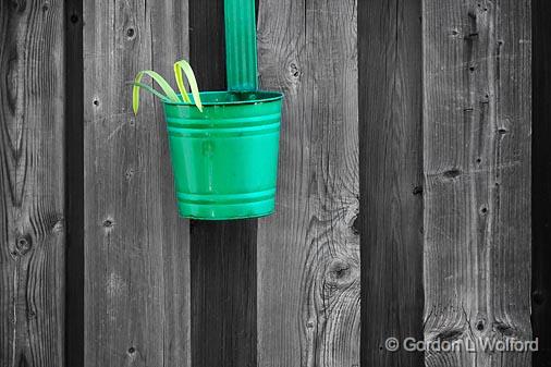 Flowerpot On A Fence_14829.jpg - Photographed at Smiths Falls, Ontario, Canada.
